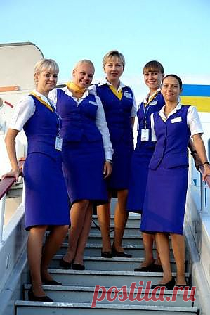 (+1) - Откровения бортпроводницы | ОБОРЖАКА ;)