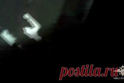 Трое россиян с украденным сейфом и садовой тачкой попали на видео