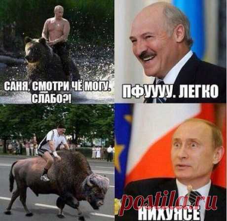Одноклассники