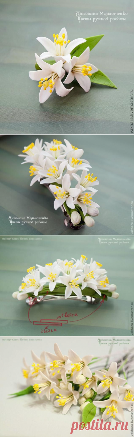 Нежные цветы из холодного фарфора | Рукоделие