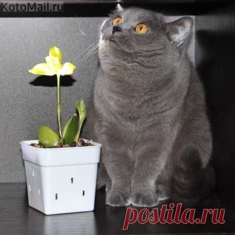 Это мне...?
