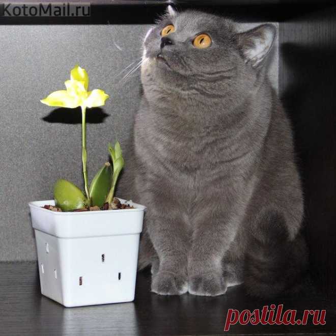 Это мне...?