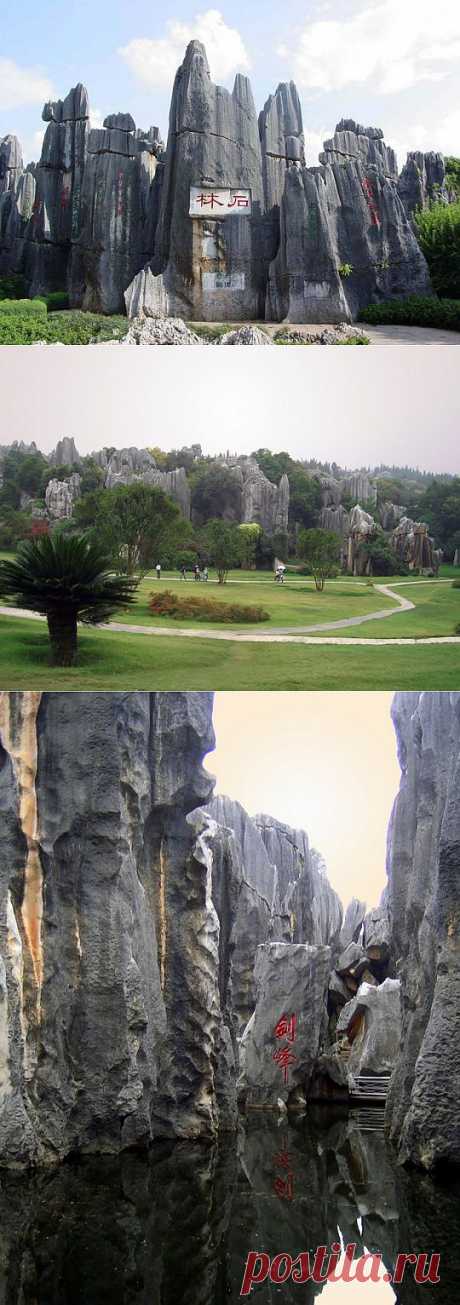 (+1) сообщ - Каменный лес в Китае | Наука и техника