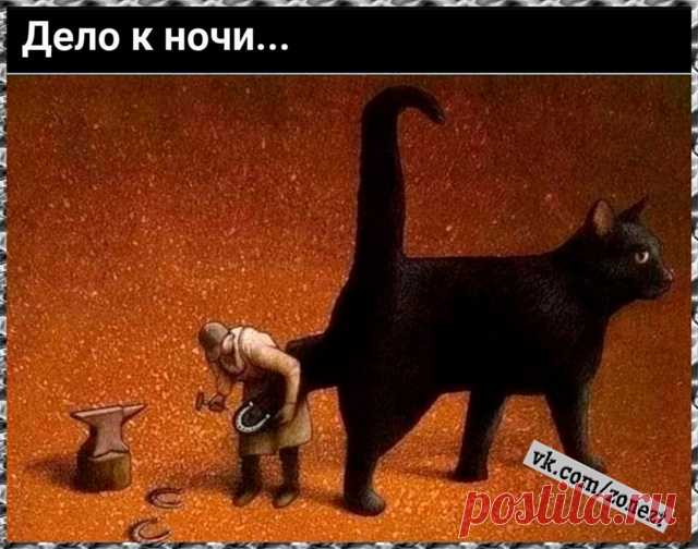 Мессенджер