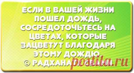 Если в Вашей жизни пошёл дождь....