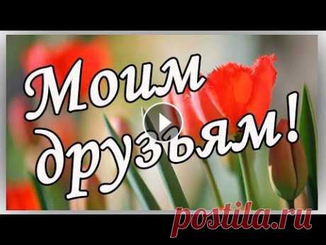 ДРУЗЬЯМ: С Добрым утром! Красивая музыкальная открытка. Хорошего дня и отличного настроения!!! Позитива вам на весь день!! Я желаю вам доброго утра И хорошего светлого дня! Пусть же будет тепло и уютно Вам ...