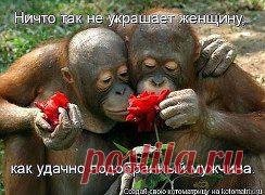 Одноклассники