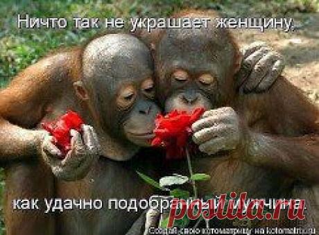 Одноклассники