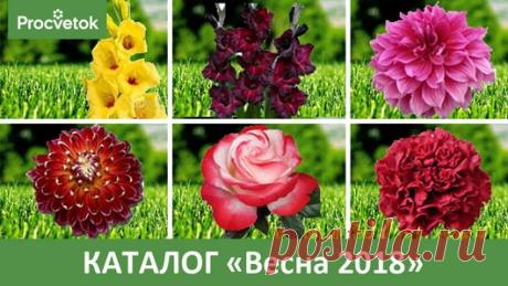 Мой Мир@Mail.Ru