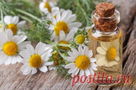 9 природных ароматов, способных изменить наше настроение