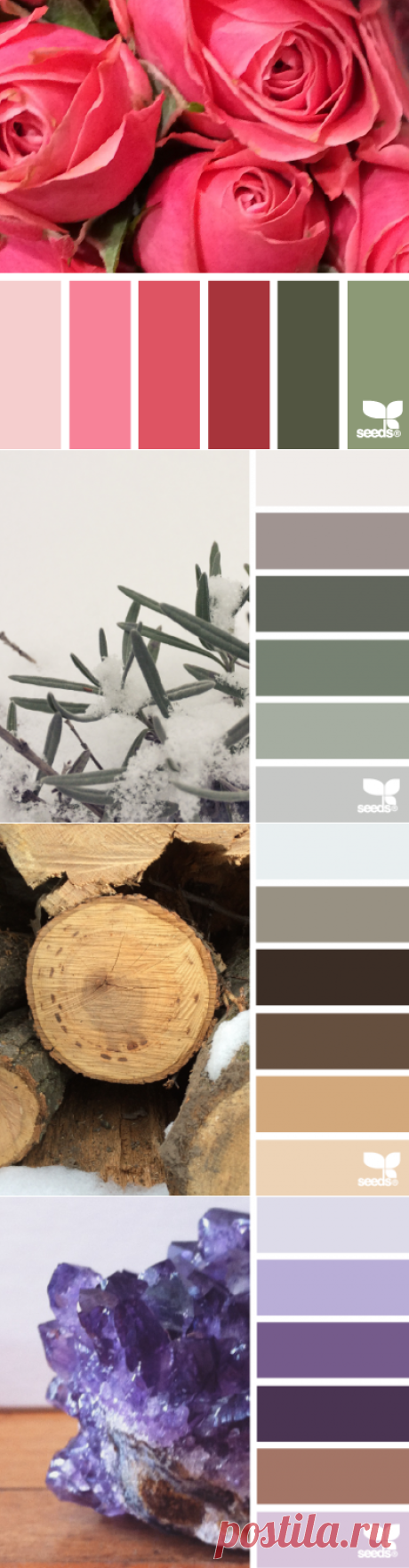 design seeds | for all who ♥ color