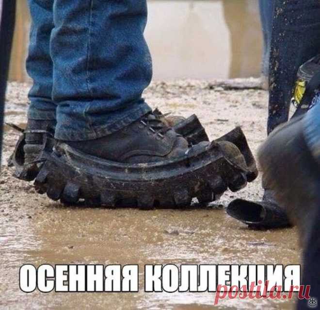 Смешное с надписями и без них - 41 смешных фото приколов