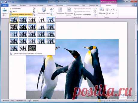 Работа с картинками и рисунками для презентаций в PowerPoint 2010 – видео урок TeachVideo
