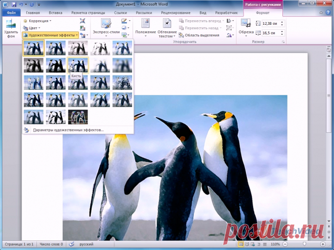 Работа с картинками и рисунками для презентаций в PowerPoint 2010 – видео урок TeachVideo