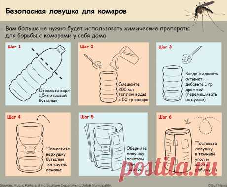 Ловушка для комаров | Домохозяйки