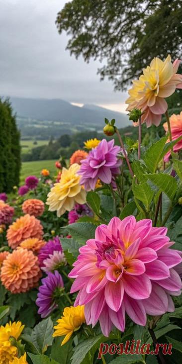 Пин на доске яГЕОРГИН