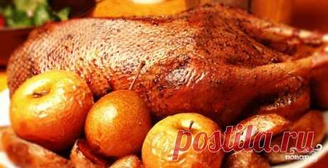 Фаршированный гусь в духовке - пошаговый рецепт с фото на Повар.ру