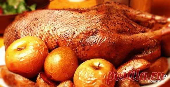 Фаршированный гусь в духовке - пошаговый рецепт с фото на Повар.ру