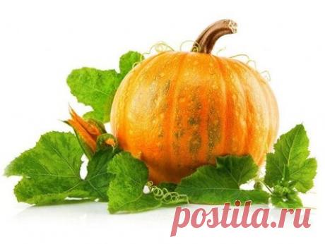 Этот рецепт даже врачей удивил: полностью очищает кровь, контролирует диабет, мочевую кислоту и не только!