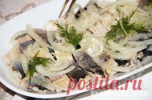 Холодные закуски | Фоторецепты на Харч.ру