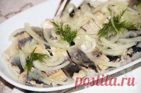 Холодные закуски | Фоторецепты на Харч.ру