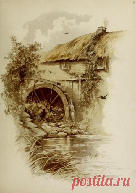 dgYH8lLChZ4.jpg (506×717)