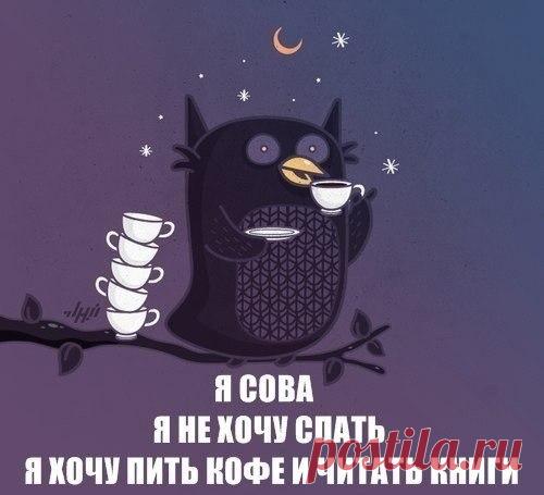 Завтра выходной, сегодня можно всю ночь читать!

10 книг, которые читаются за одну ночь

1. Диана Сеттерфилд — 