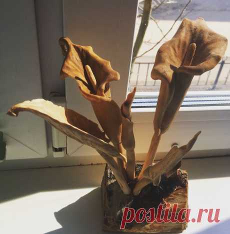 Новые фотографии
