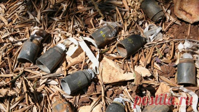 Мэр сообщил об обстреле Льгова кассетными боеприпасами. Вооруженные силы Украины (ВСУ) нанесли удар кассетными боеприпасами по городу Льгов Курской области. Об этом сообщил глава города Алексей Клемешов на своей странице во "ВКонтакте". Информация о разрушениях и пострадавших пока не ...