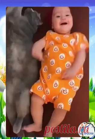 Одноклассники