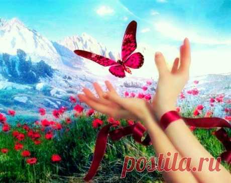 Счастье тебе картинки: 34 тыс изображений найдено в Яндекс.Картинках