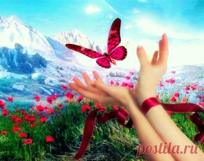 Счастье тебе картинки: 34 тыс изображений найдено в Яндекс.Картинках