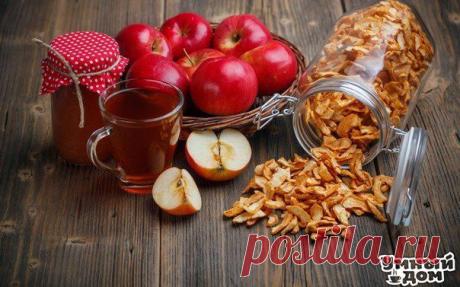 Как правильно сушить яблоки | Хозяин и Хозяюшка