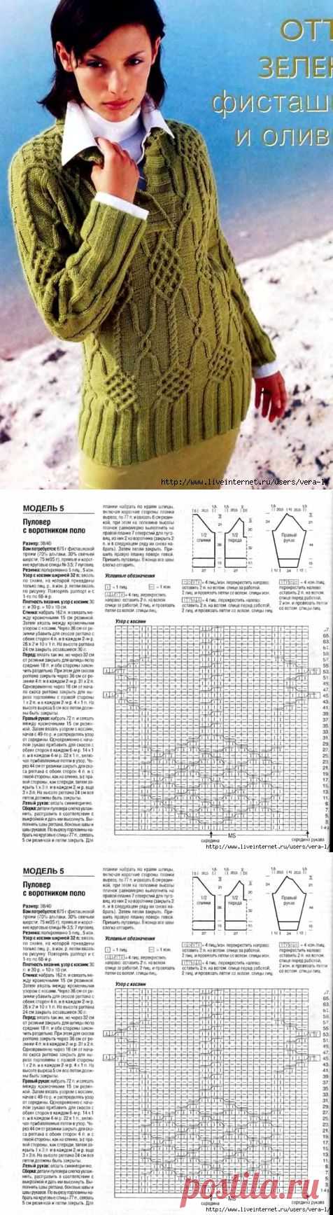 Пуловер с воротником поло.