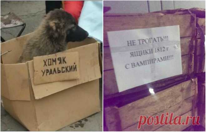 23 очень смешных объявлений, которые поражают своей убедительностью | Чёрт побери