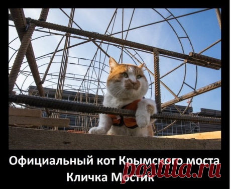 1 непрочитанный чат