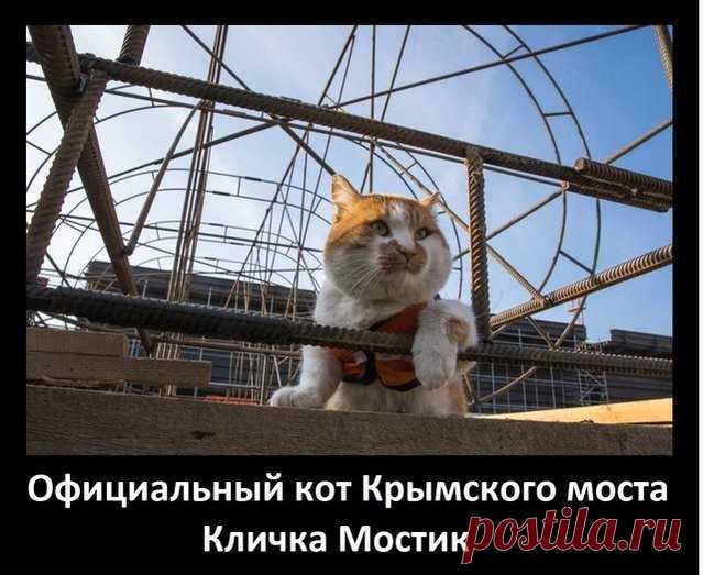 1 непрочитанный чат