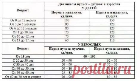 Признаки здорового человека. Вы можете быть спокойны, если они у вас есть. | Идеи Саморазвития | Яндекс Дзен