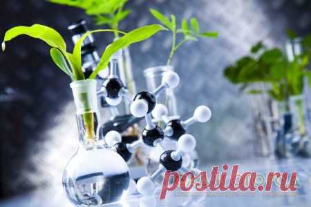 Регуляторы роста и их роль в развитии растений