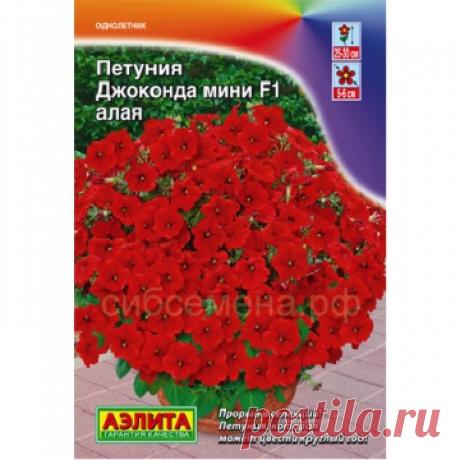 Петуния Джоконда МИНИ F1 алая (Аэлита) - Каталог - Семена для сибири