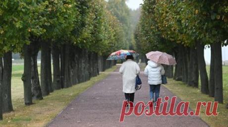 Климатолог Репина объяснила дождливую погоду в Центральной России. Заместитель директора Института физики атмосферы Российской академии наук, доктор физико-математических наук, профессор Ирина Репина объяснила дождливую погоду в Центральной России движением циклонов в обход устойчивого европейского антициклона. Читать далее