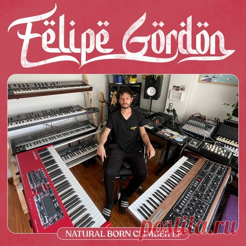 Felipe Gordon – Natural Born Climber [SNF074] - DJ-Source.com