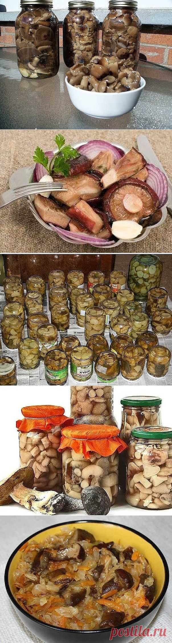 11 заготовок грибов на зиму