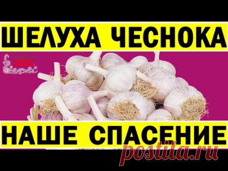 Это творит шелуха! Даже щепотки хватит. Никогда не выбрасывайте шелуху чеснока. Мало кто знает...