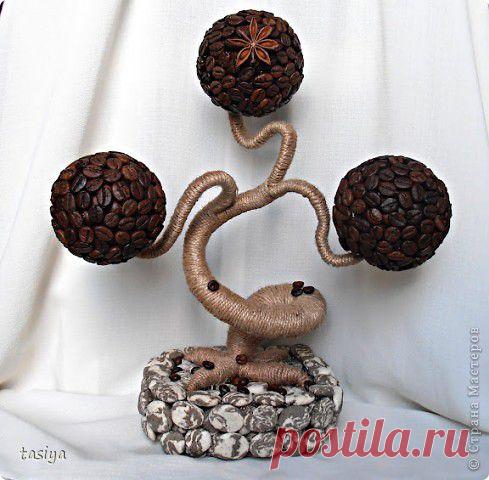 Мини баобаб))) | Страна Мастеров