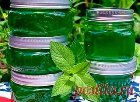 Сироп из мяты: как приготовить мятный сироп в домашних условиях - вкусный десерт своими руками