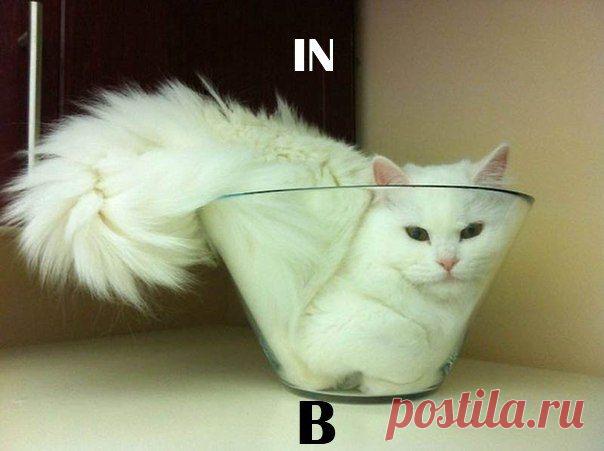 Предлоги с кош / Изучение немецкого языка