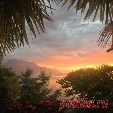 #Гавайи@discoverygroup