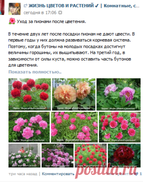 Любовь Калинина