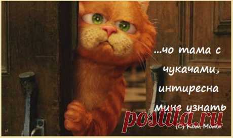 Блог Кота Моти.
отчаво никаму ни интиресна чо тама с нашыми чукчами ? Можыт у их олени болеют или ещо чаво, а у нас одни кедми мышралаимския ф теликах про кедмяф киевлянских рассказуют да про кедмяф европейских...а с чукчами тама чо у нас ваще ...?